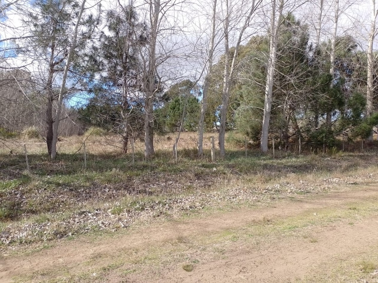 FRACCION DE 8000M2 CON FORESTACION