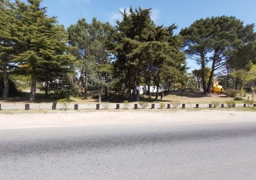 LOTE EN ACCESO A VILLA GESELL